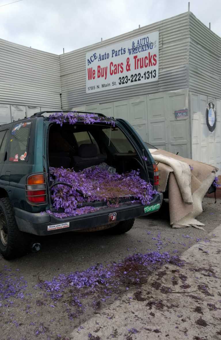 2016-05-29 10.41.20_lr