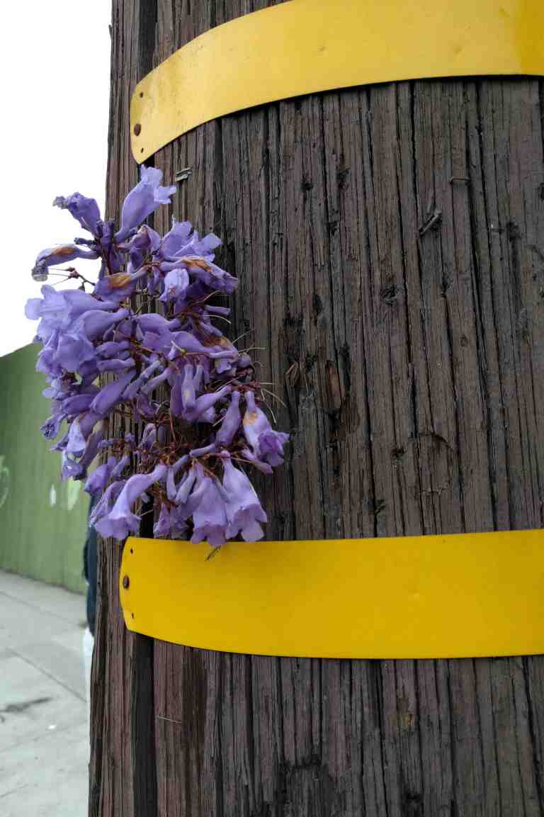 2016-05-29 10.43.48_lr