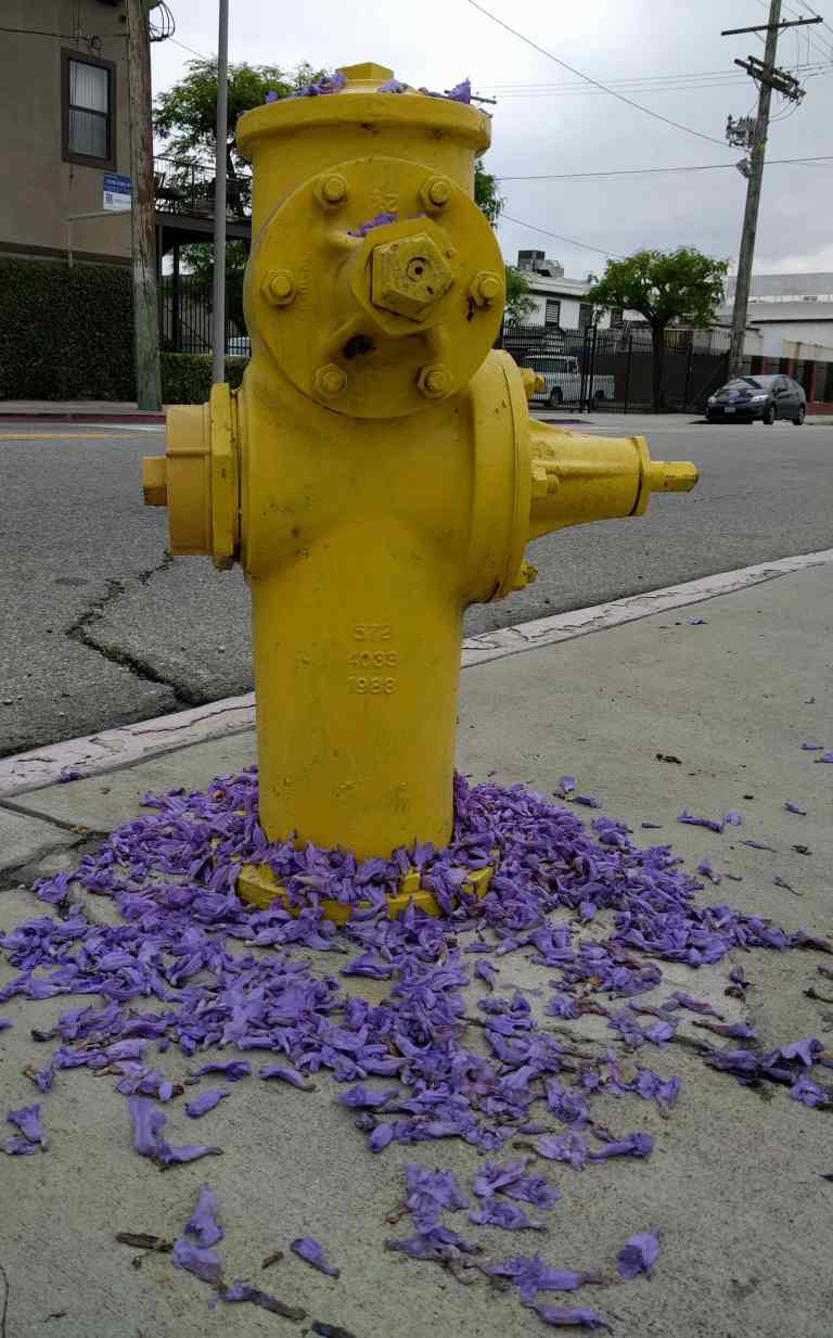 2016-05-29 10.46.44_lr