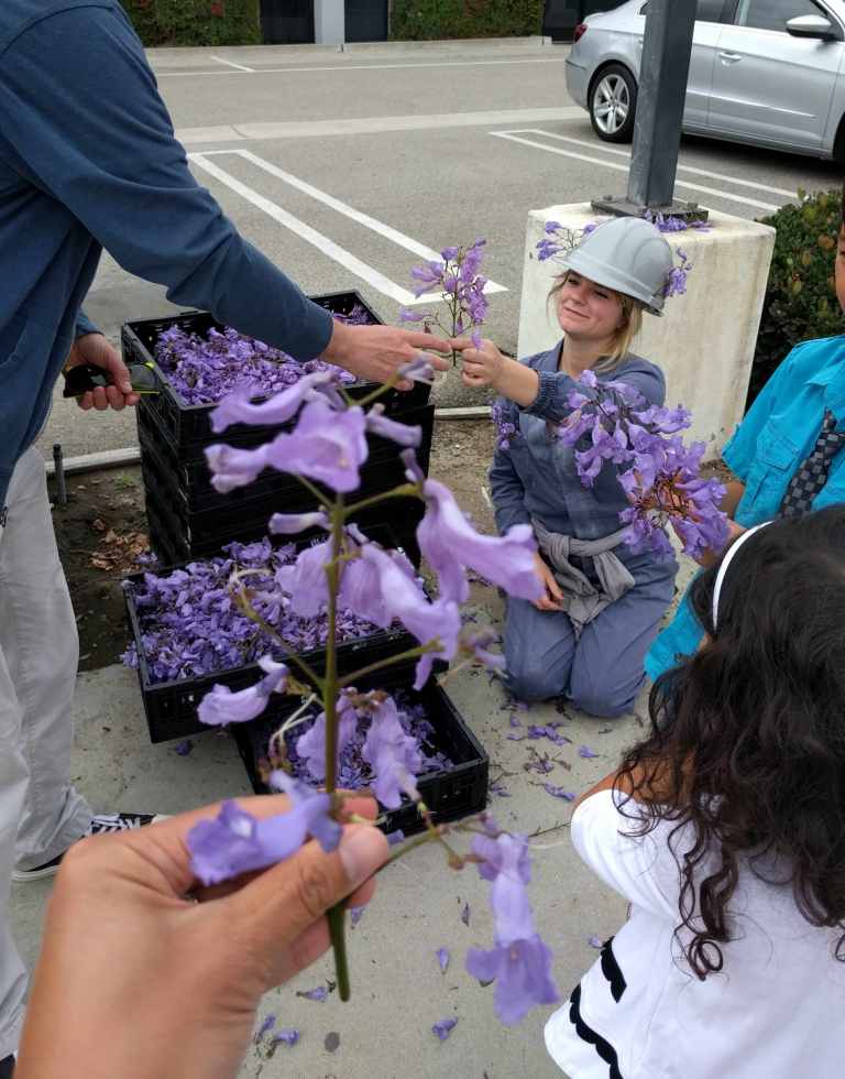 2016-05-29 10.47.26_lr