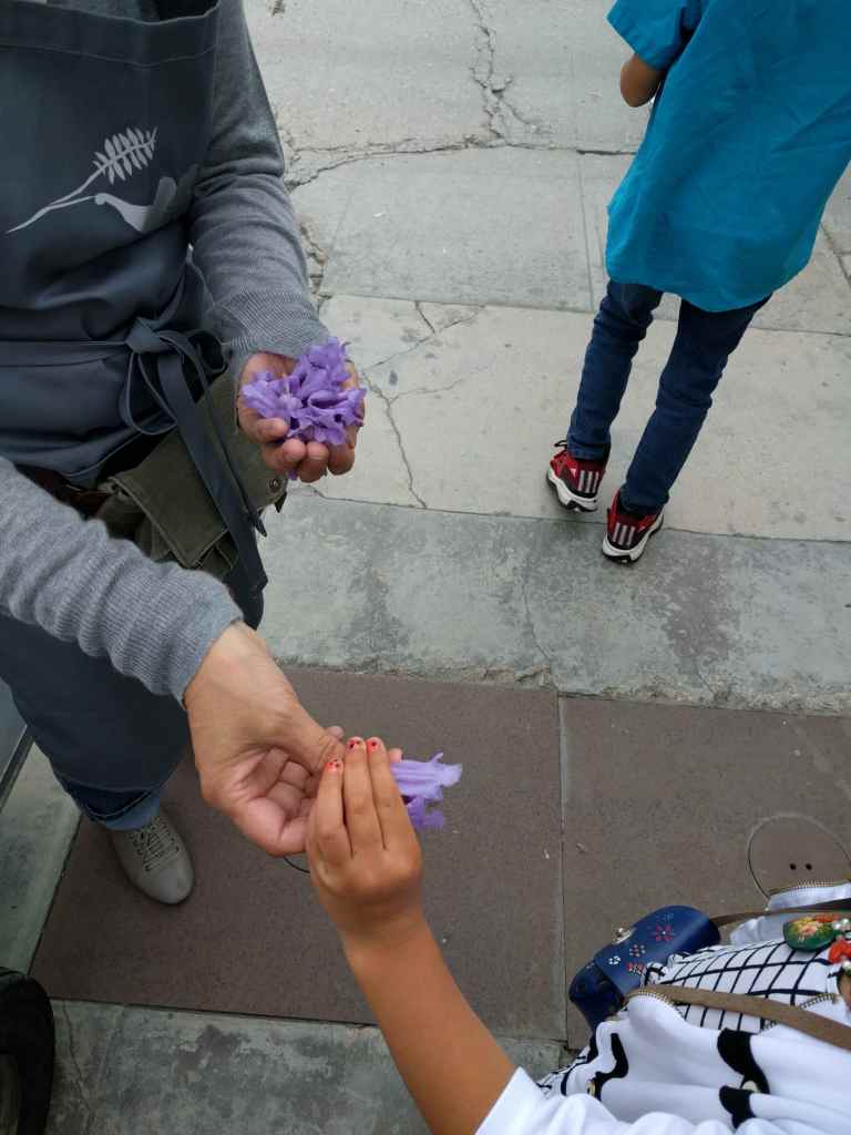 2016-05-29 10.48.19_lr