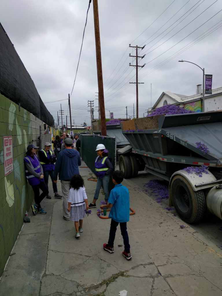 2016-05-29 10.49.39_lr