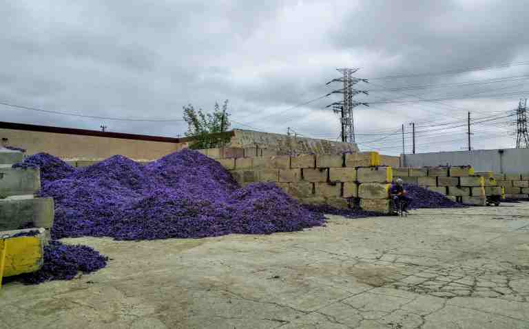 2016-05-29 10.50.33_col_lr