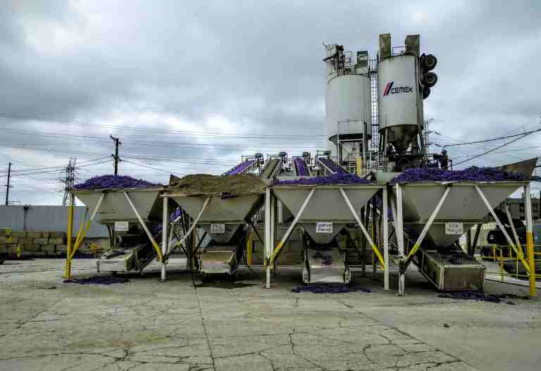 2016-05-29 10.50.46_col_lr