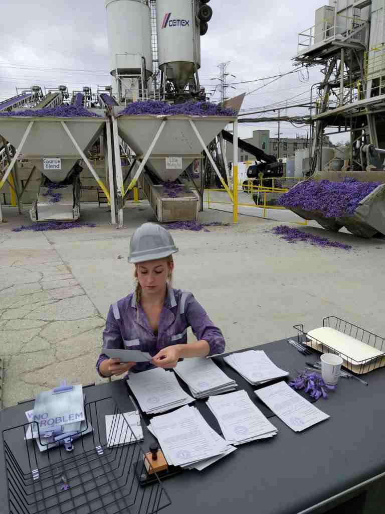 2016-05-29 10.51.02_lr