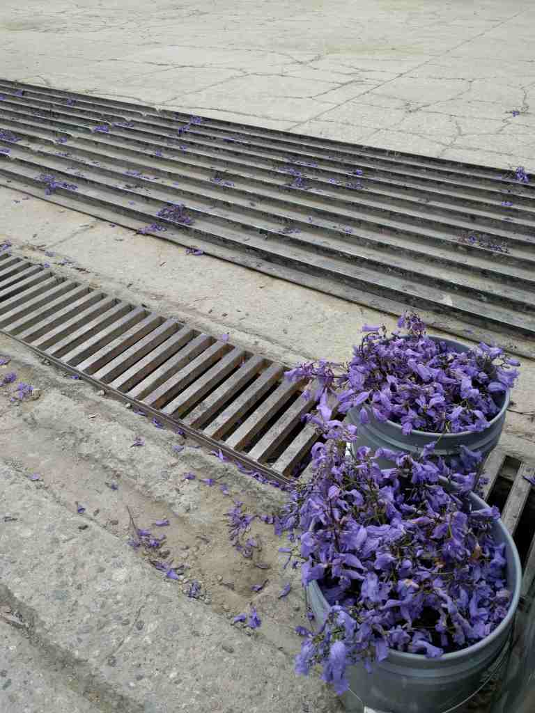 2016-05-29 10.51.08_lr