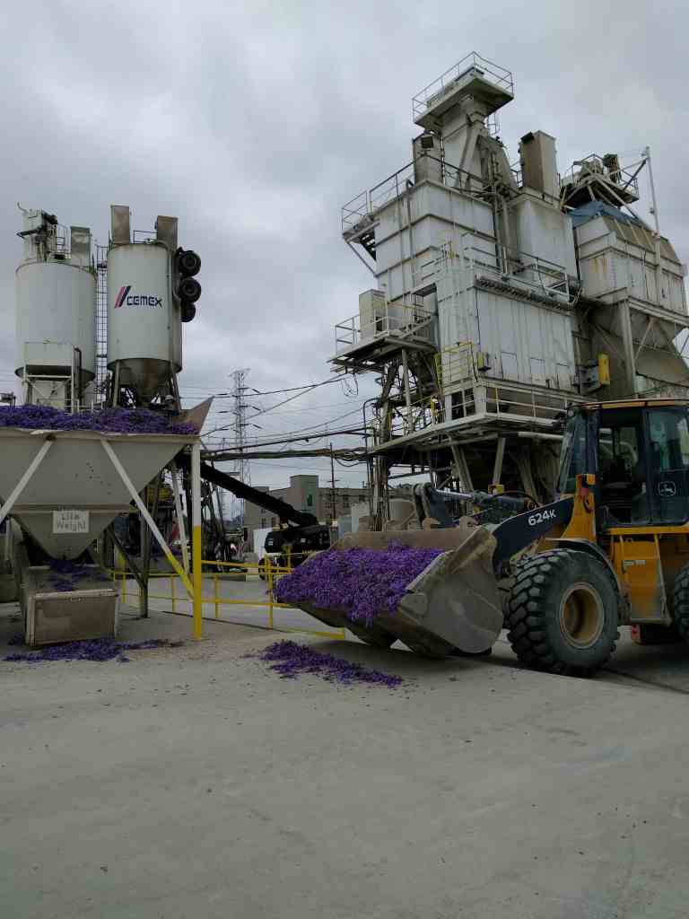 2016-05-29 10.51.33_lr