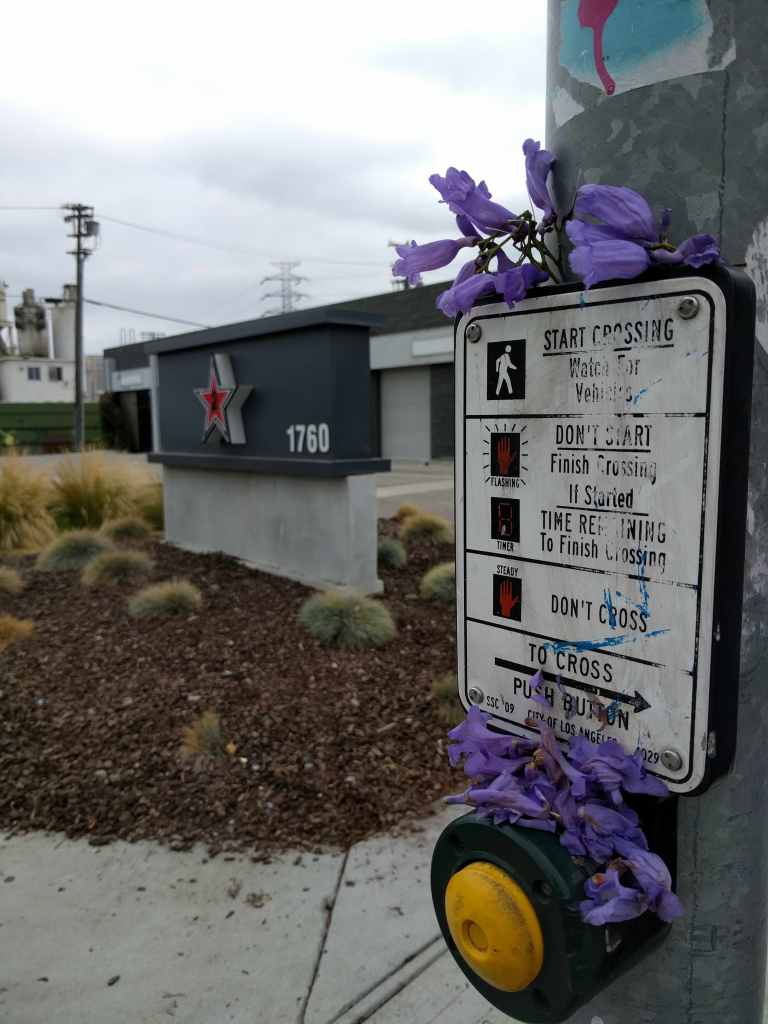 2016-05-29 10.57.21_lr