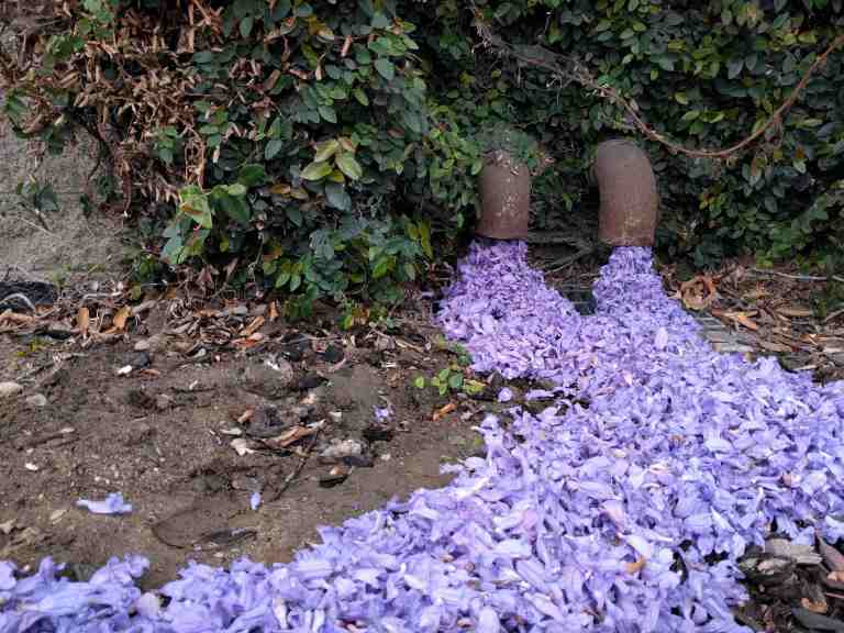 2016-05-29 10.58.27_lr