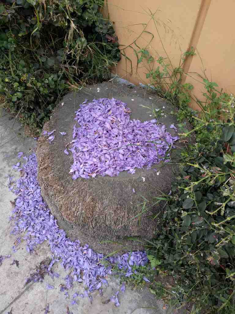 2016-05-29 11.01.05_lr