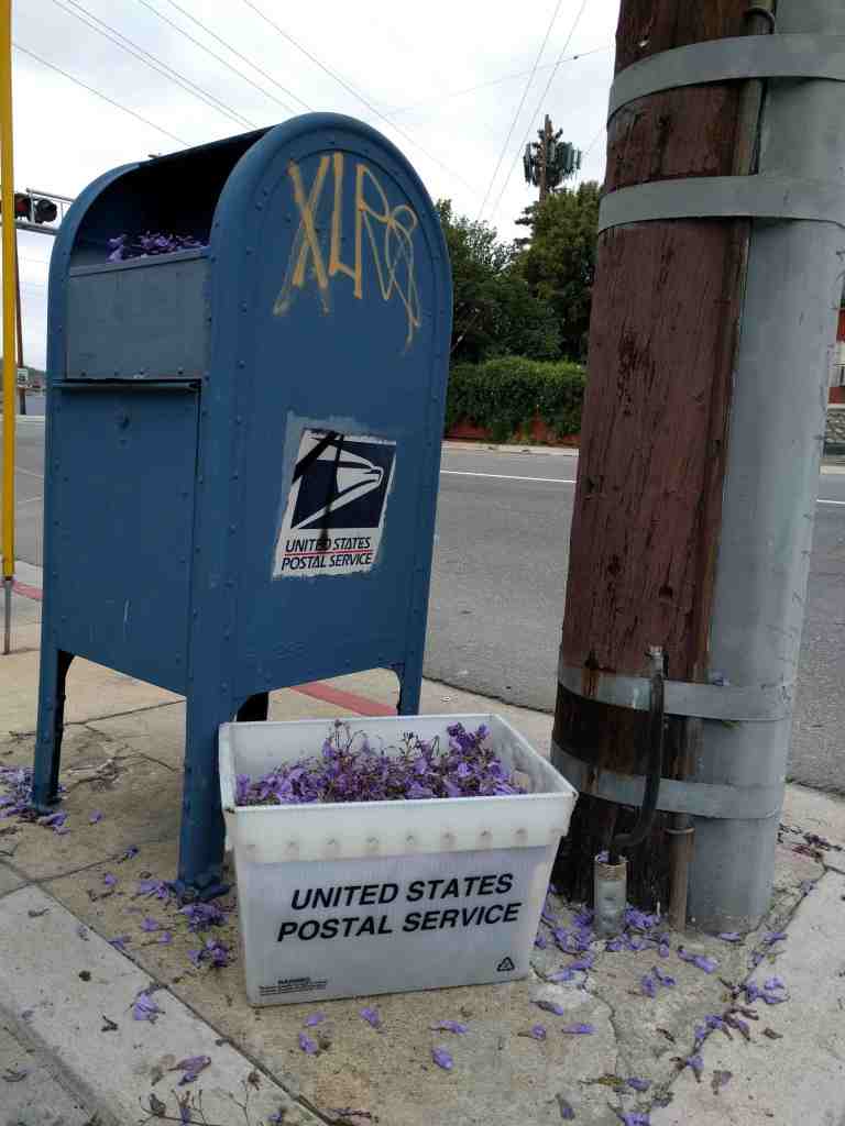 2016-05-29 11.01.34_lr