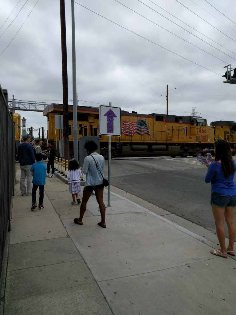 2016-05-29 11.01.51_lr