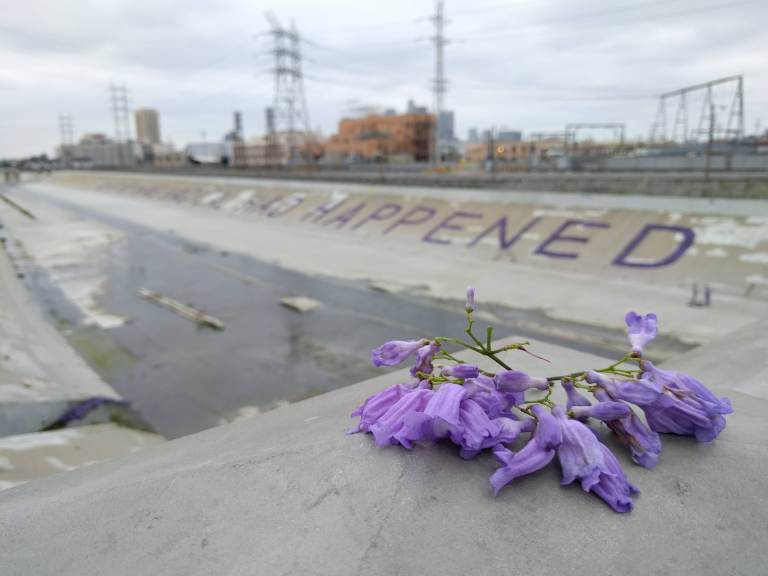 2016-05-29 11.04.59_lr