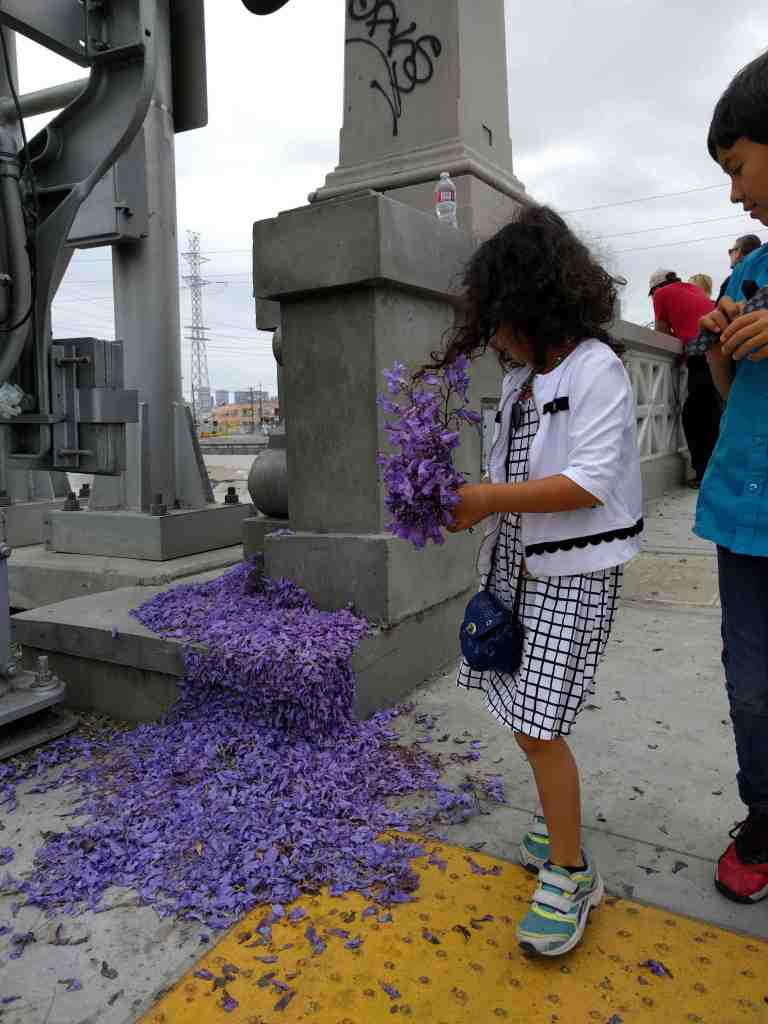 2016-05-29 11.16.15_lr