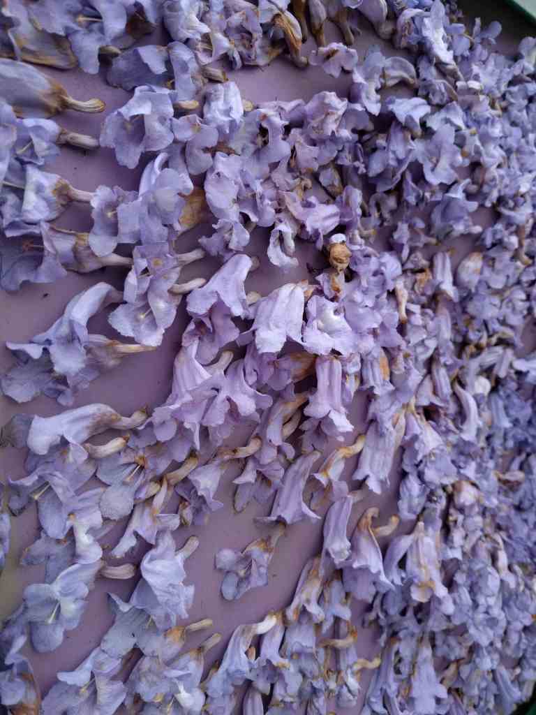 2016-05-29 11.19.57_lr