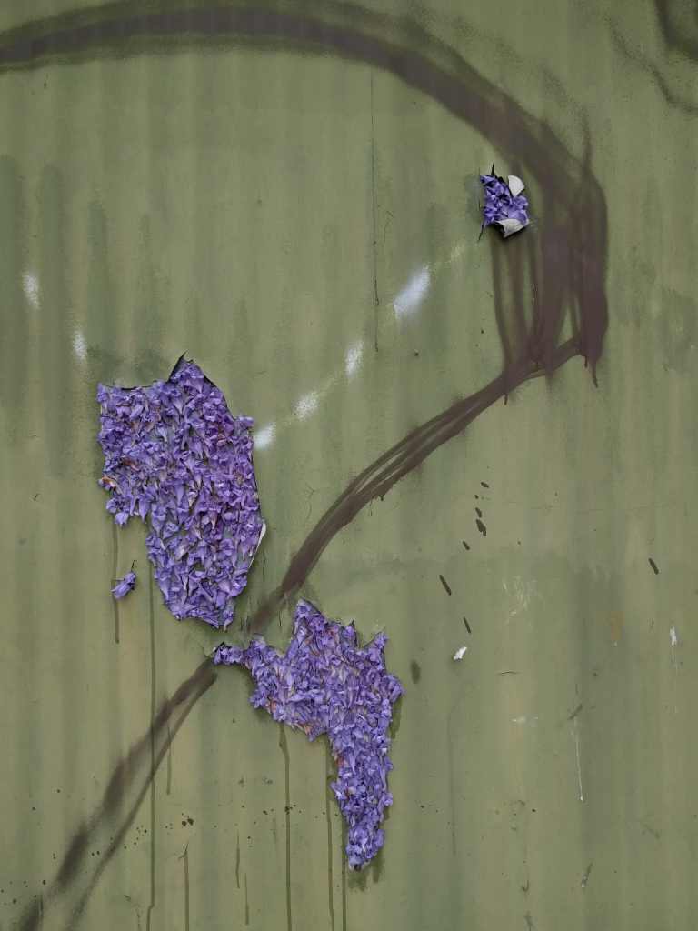 2016-05-29 11.21.41_lr