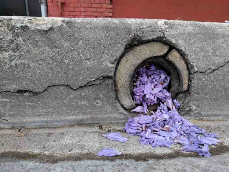 2016-05-29 11.22.40_lr