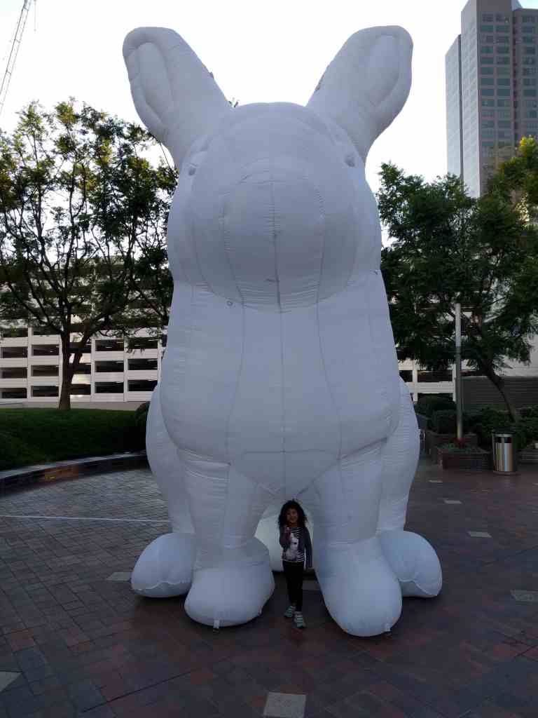 2016-06-05 19.07.05_lr