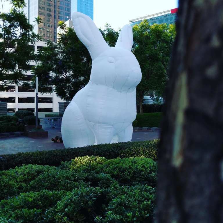 2016-06-05 19.09.57_IG_lr