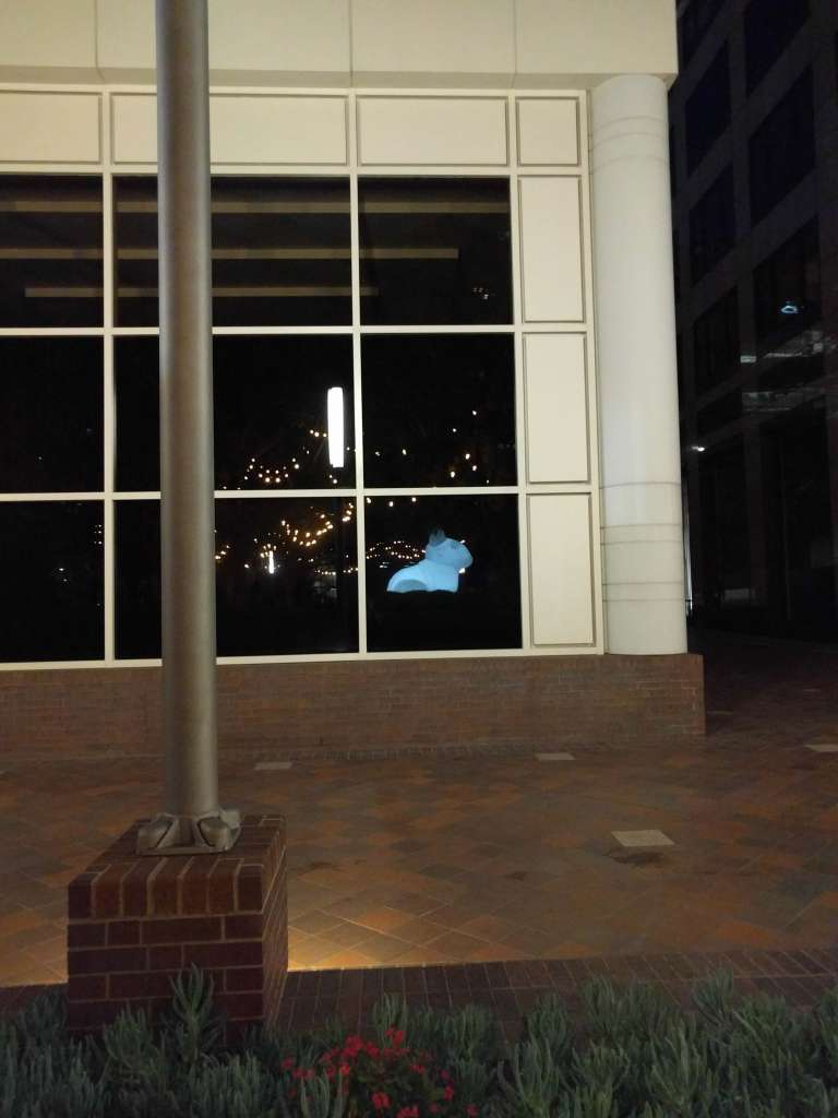 2016-06-05 20.41.25_lr