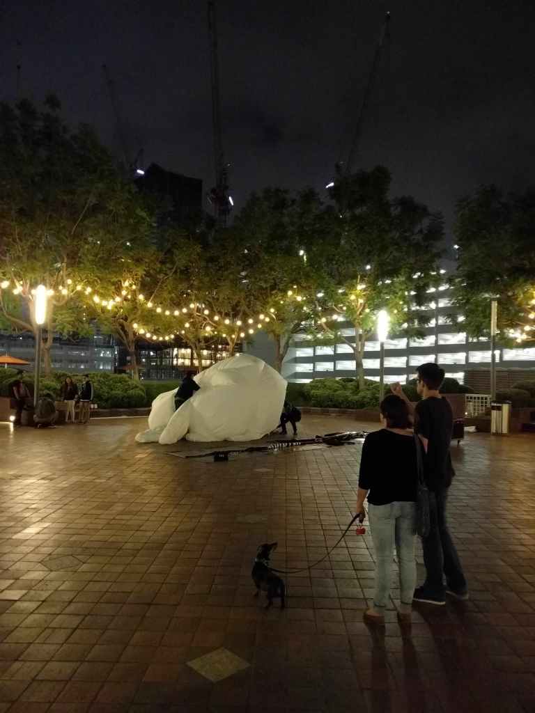 2016-06-05 21.10.37_lr