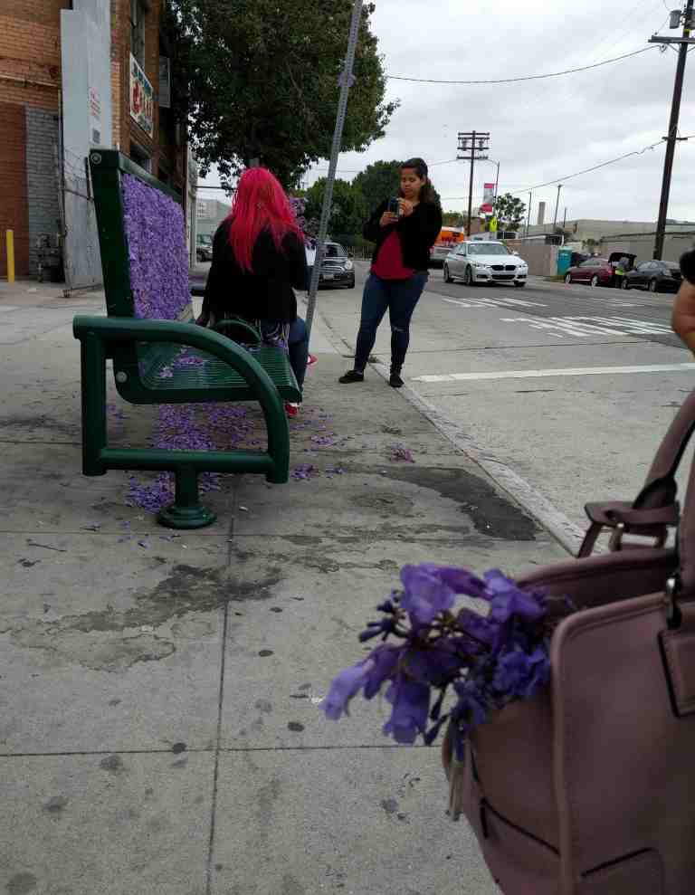 _bench42016-05-29 11.28.07_lr