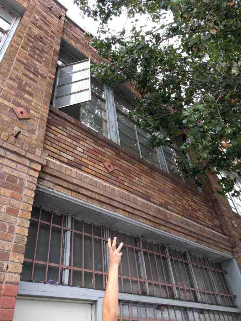 _rain12016-05-29 10.42.55_lr