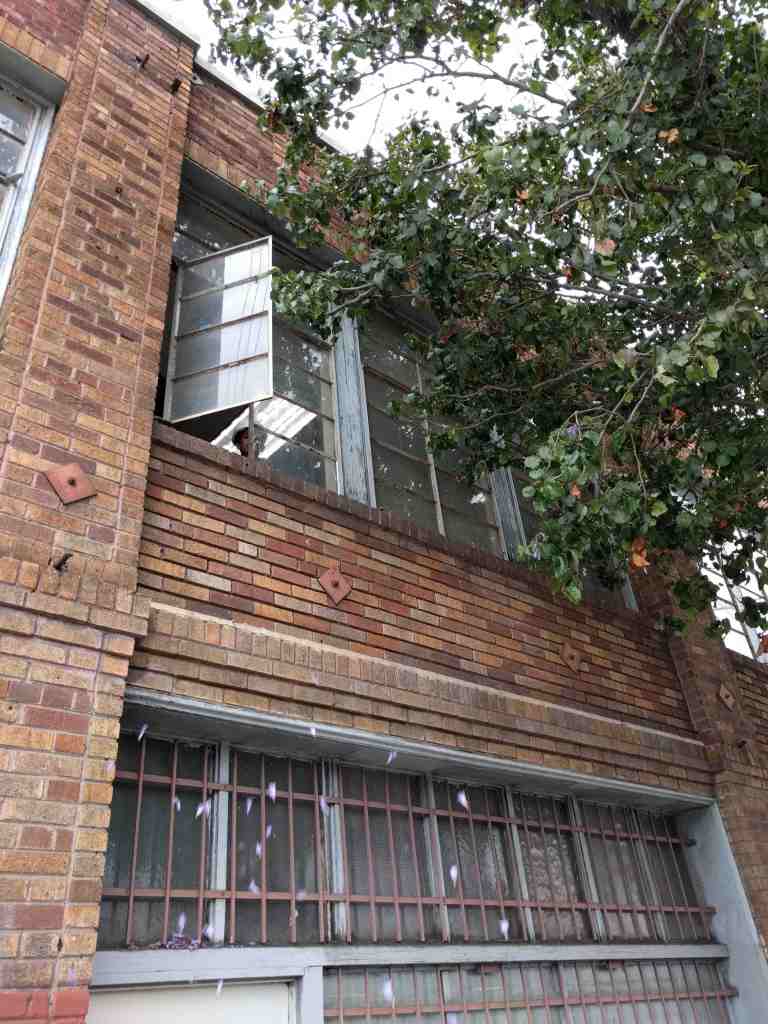 _rain22016-05-29 11.32.26_lr