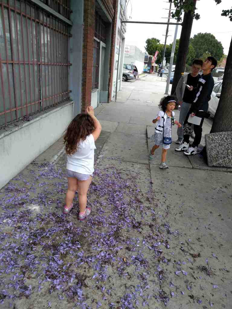 _rain32016-05-29 10.43.01_lr