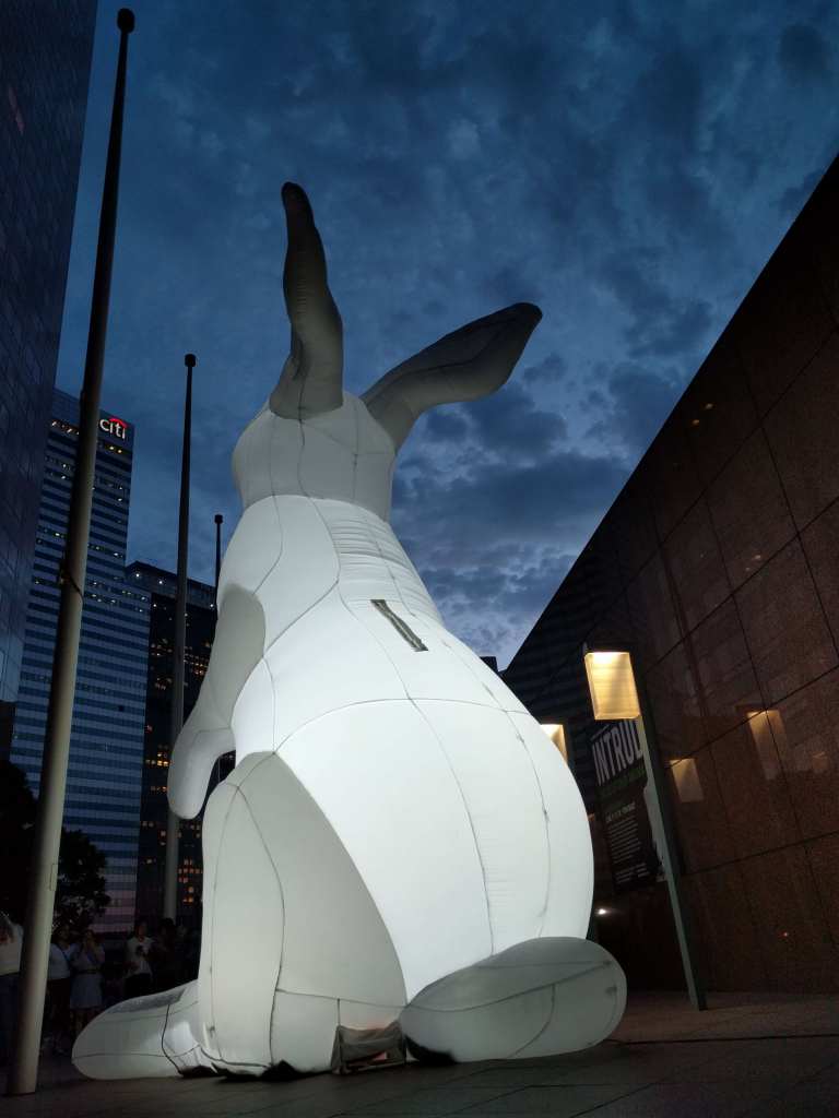 15_2016-06-10 20.19.18_lr