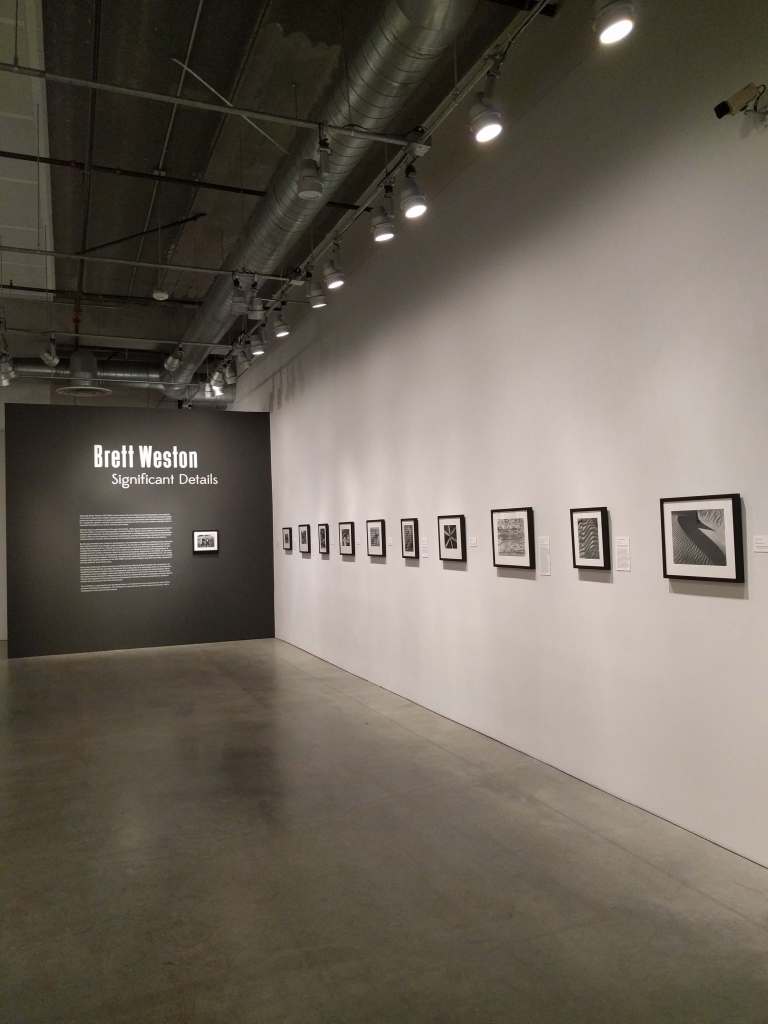 19_2016-07-01 13.14.18_lr