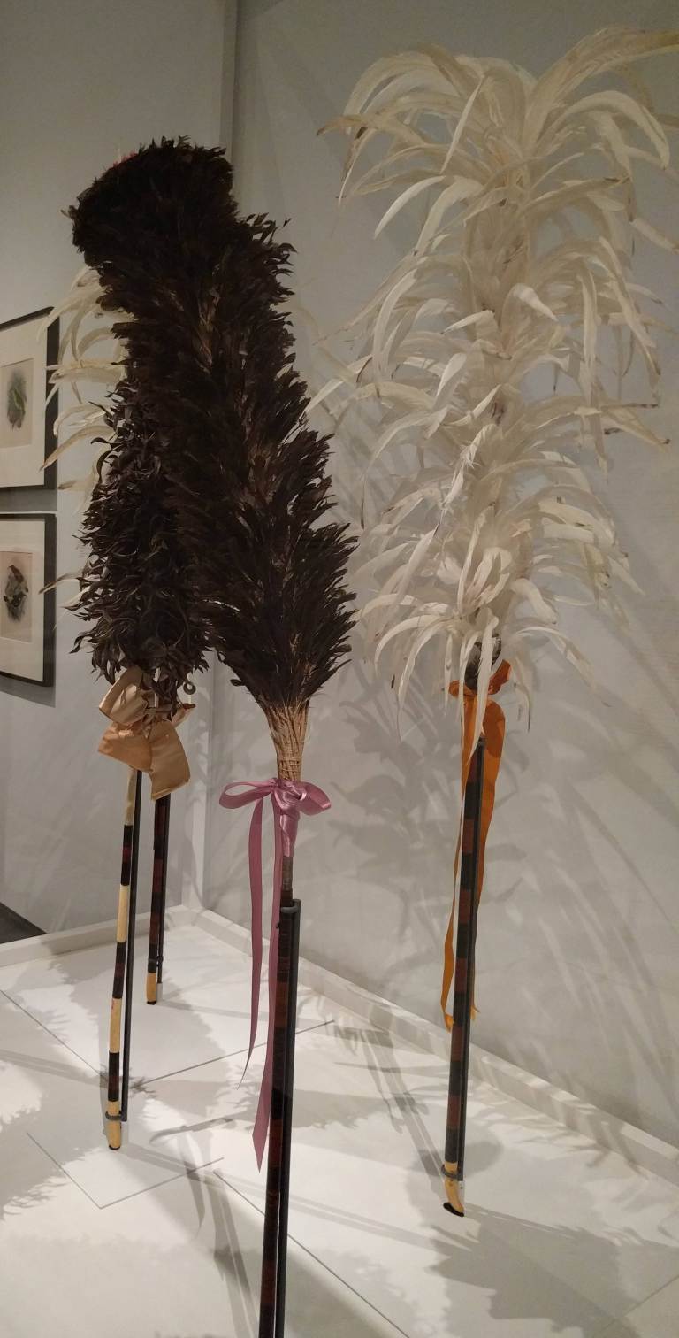 2016-07-08 17.12.41_lr