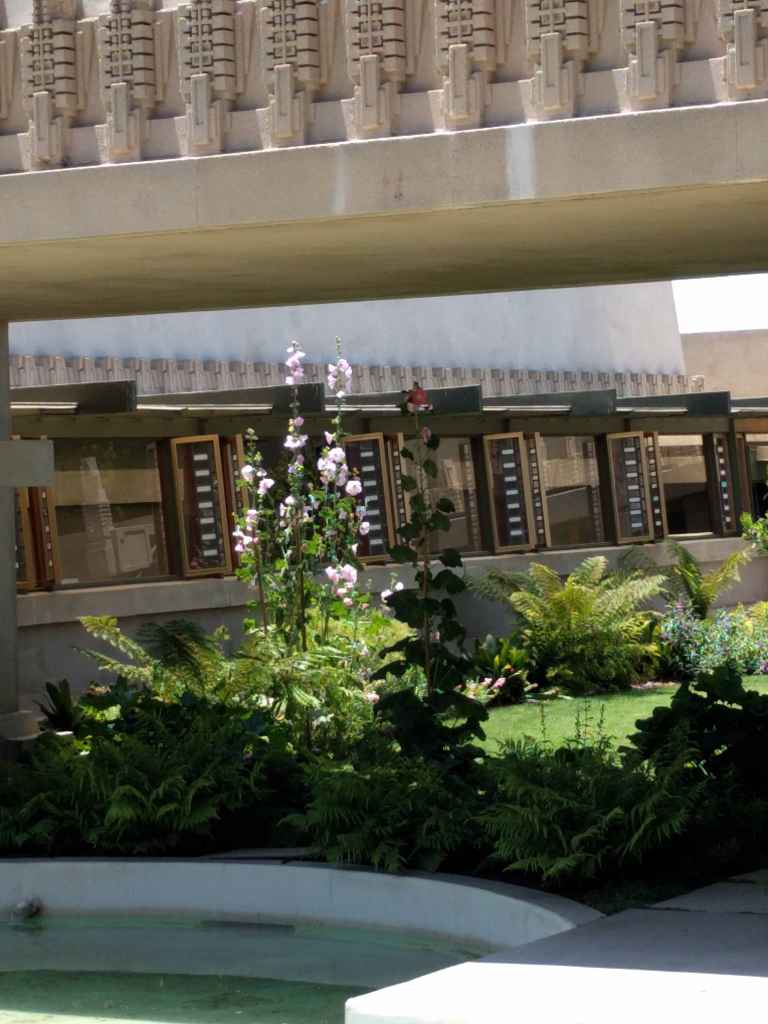 2016-07-17 13.06.43_lr