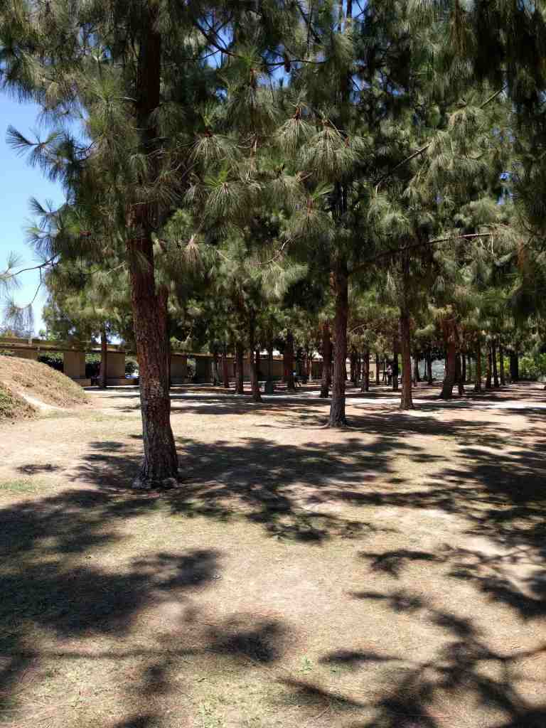 2016-07-17 13.09.59_lr