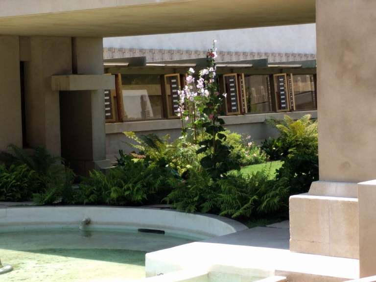 2016-07-31-13-03-01_lr