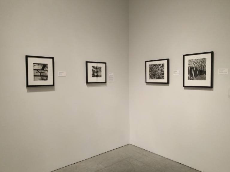 20_2016-07-01 13.16.40_lr