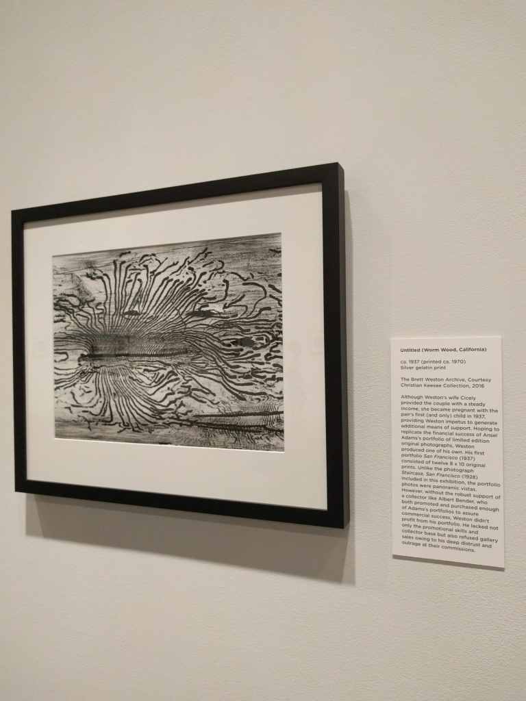 21_2016-07-01 13.18.35_lr