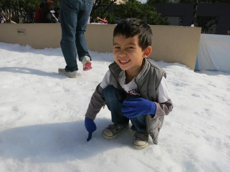 2012_12_08_holidays3