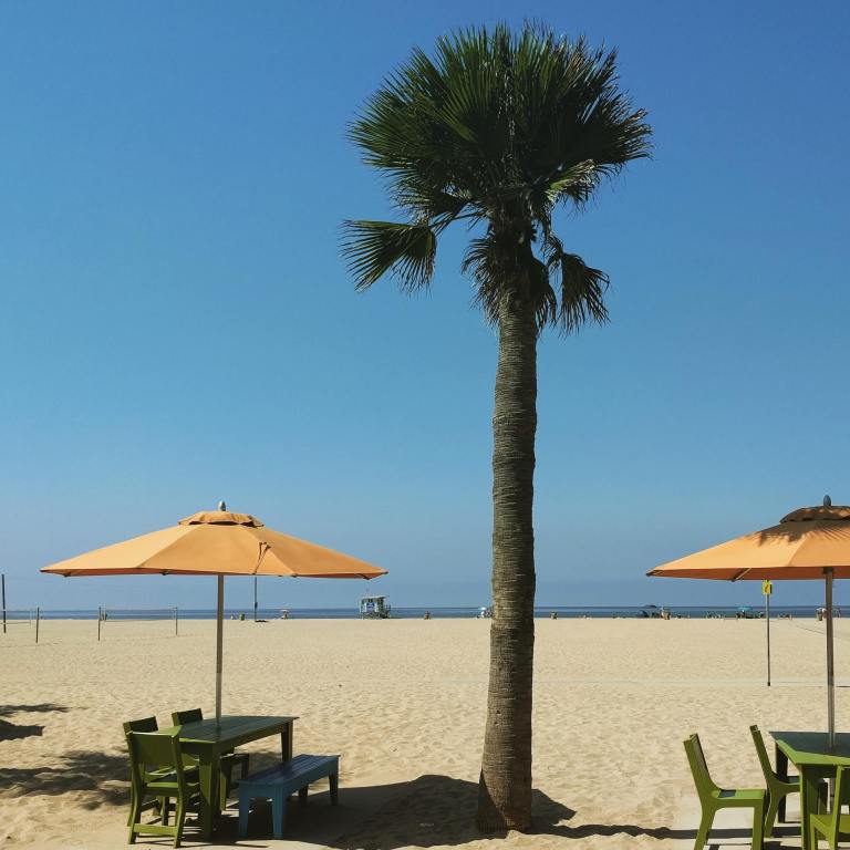 2016-08-01-103026_ig_lr