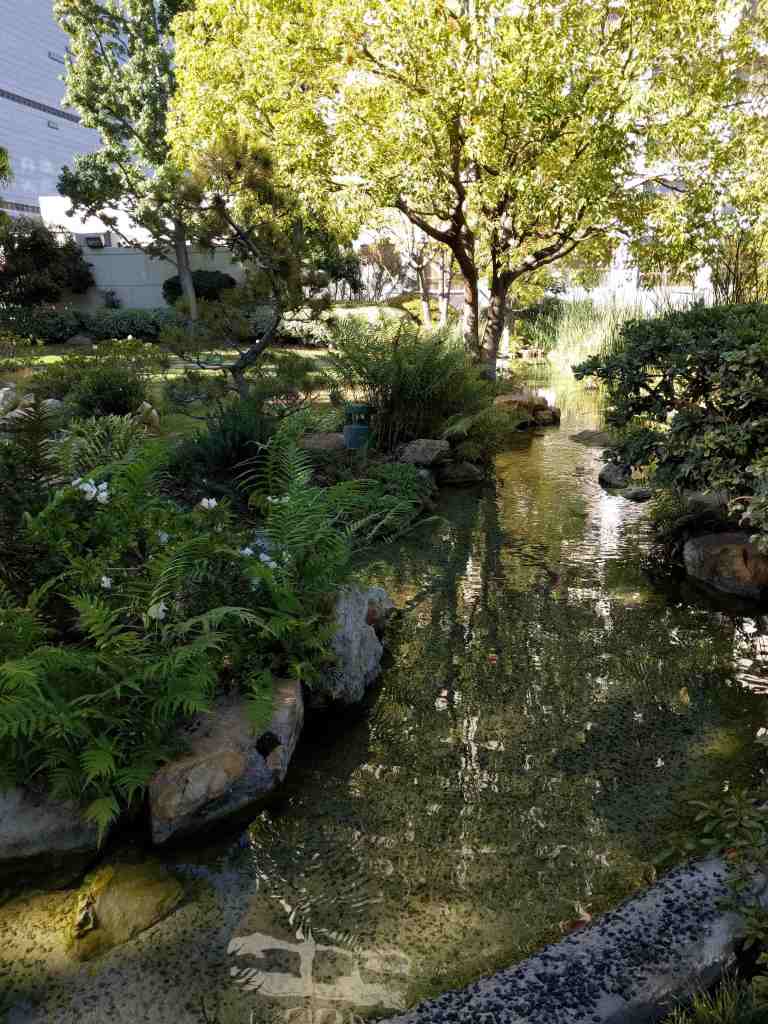 2016-08-11-17-15-57_lr