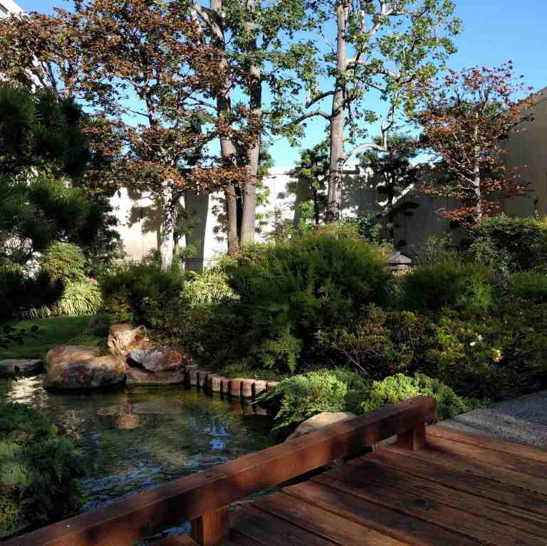 2016-08-11-175506_ig_lr