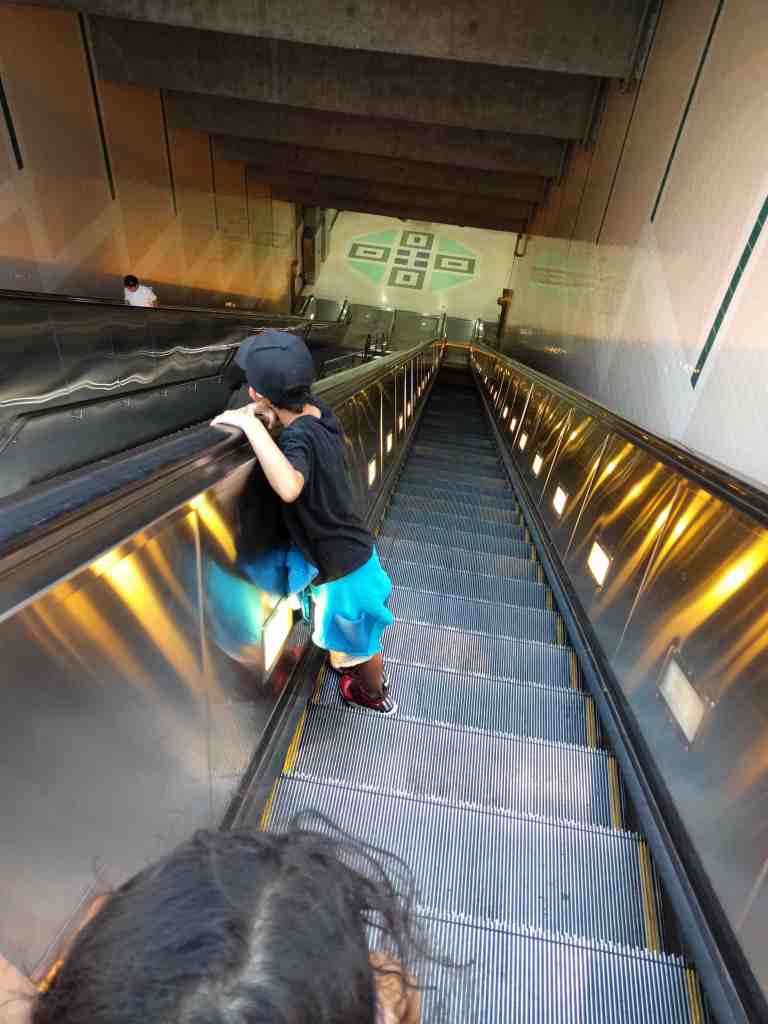 2016-08-11-19-10-45_lr