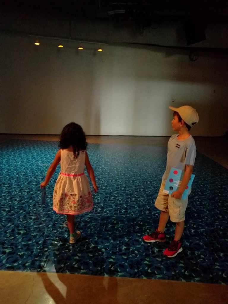 2016-08-05-13-18-56_lr