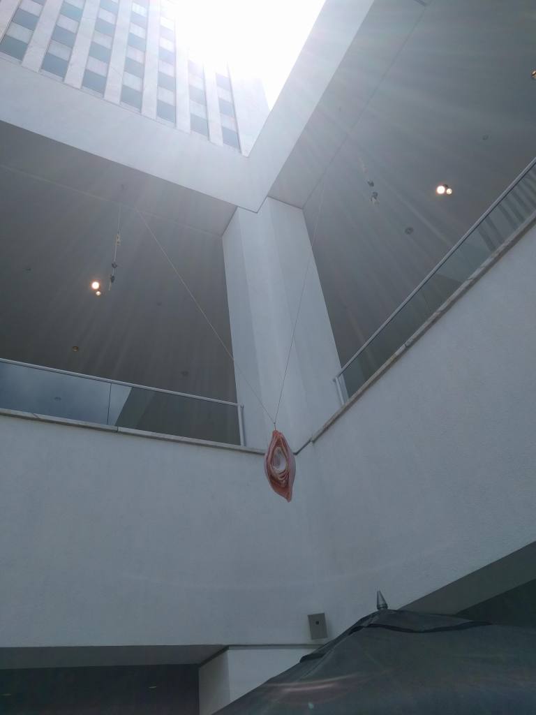 2016-08-05-13-21-30_lr