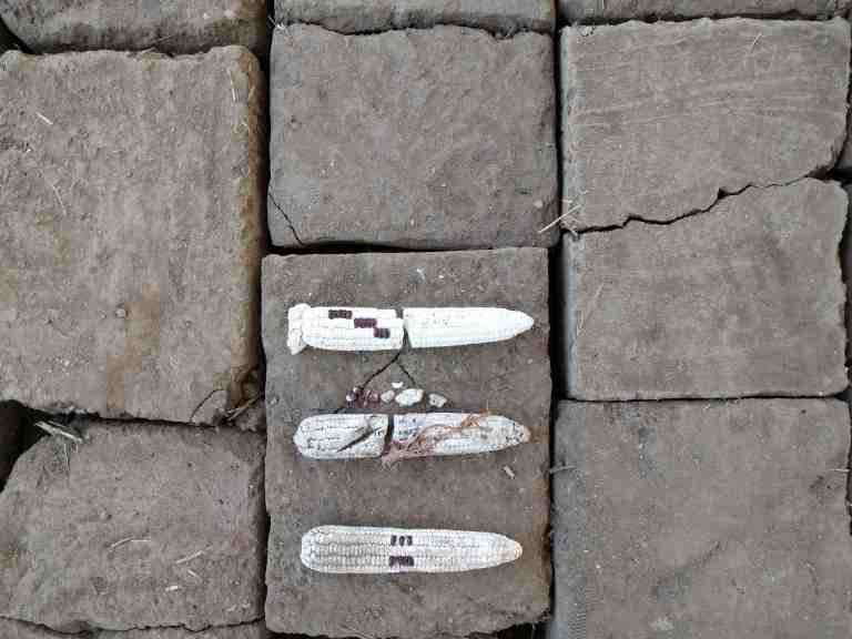 2016-08-05-13-48-31_lr