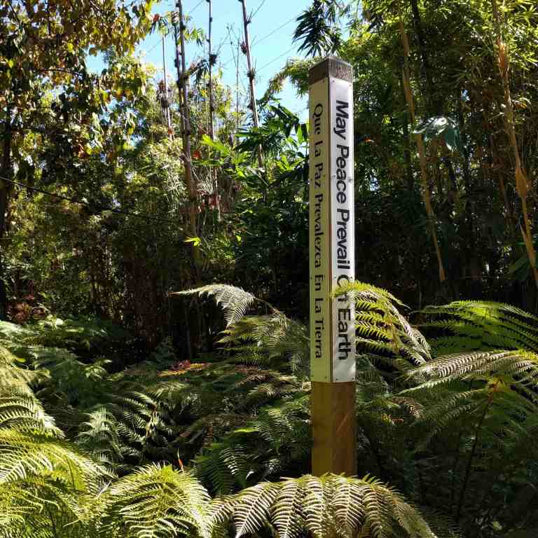 2016-09-30_141039_ig_lr