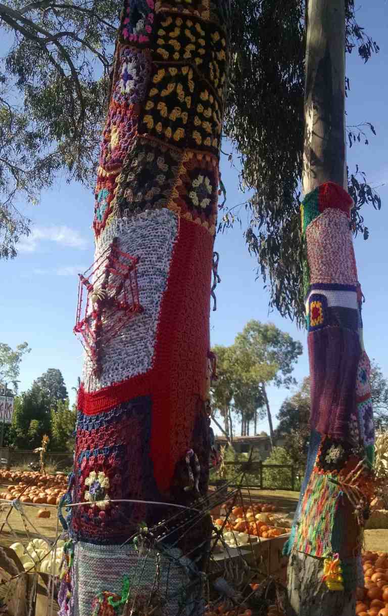 2014-10-05-10-26-20_lr