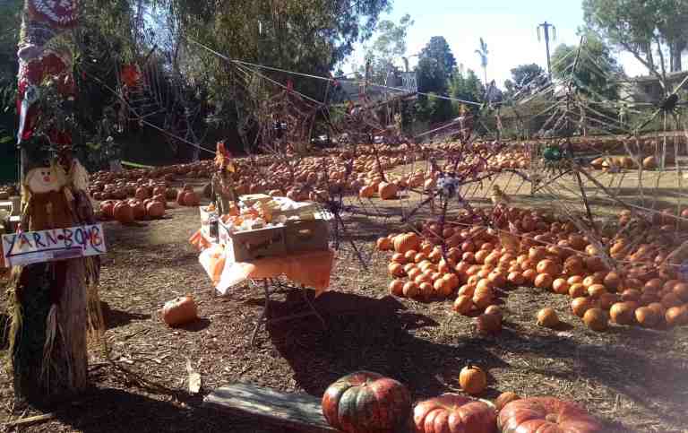 2014-10-05-10-26-28_lr