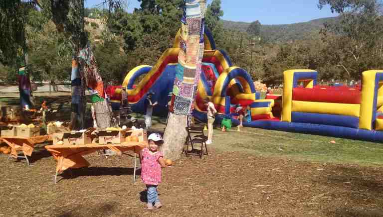 2014-10-05-10-51-30_lr