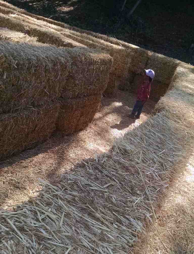 2014-10-05-10-52-44_lr